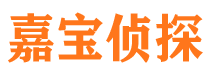 隆德寻人公司